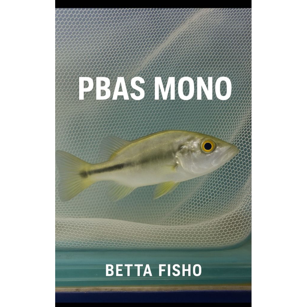 

012- packing kardus isi PBAS Mono size 8-10 cm || Bisa COD