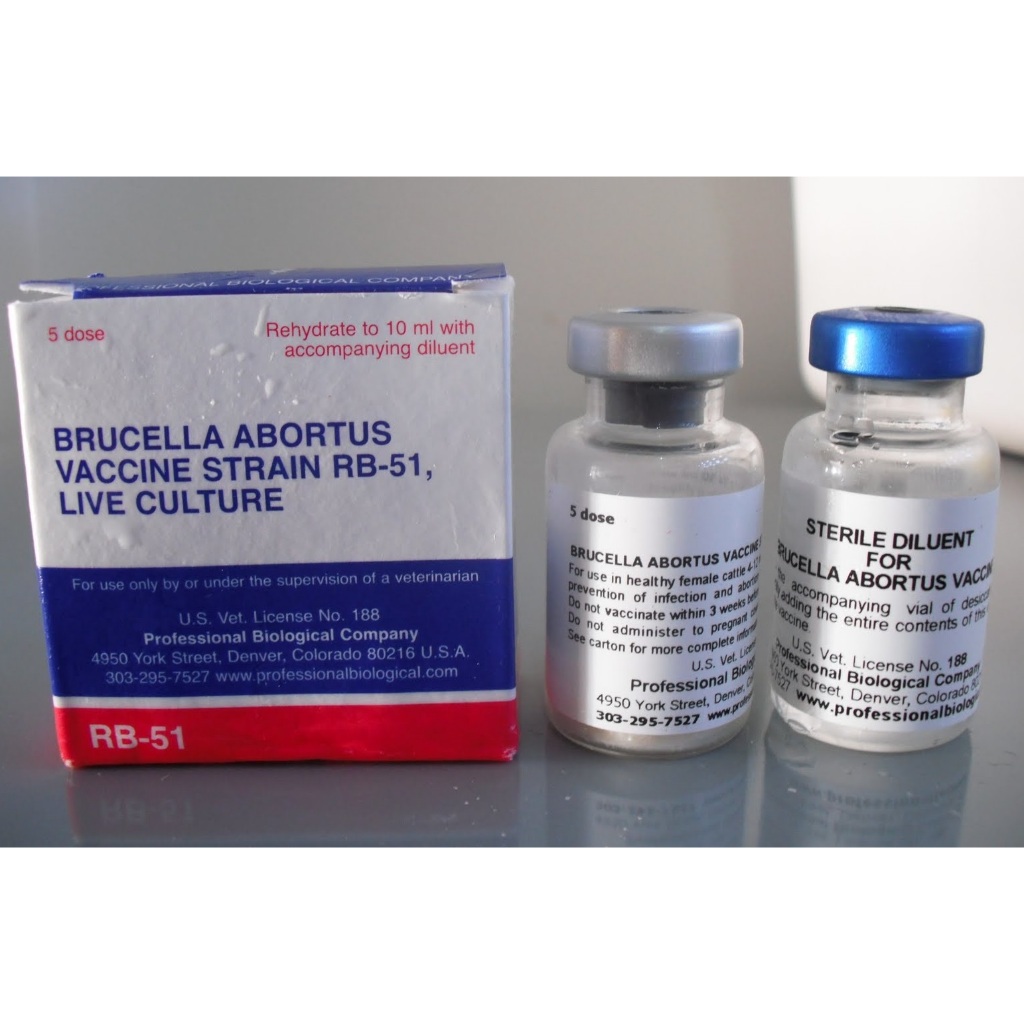 VAKSIN BRUCELLA ABORTUS STRAIN RB-51