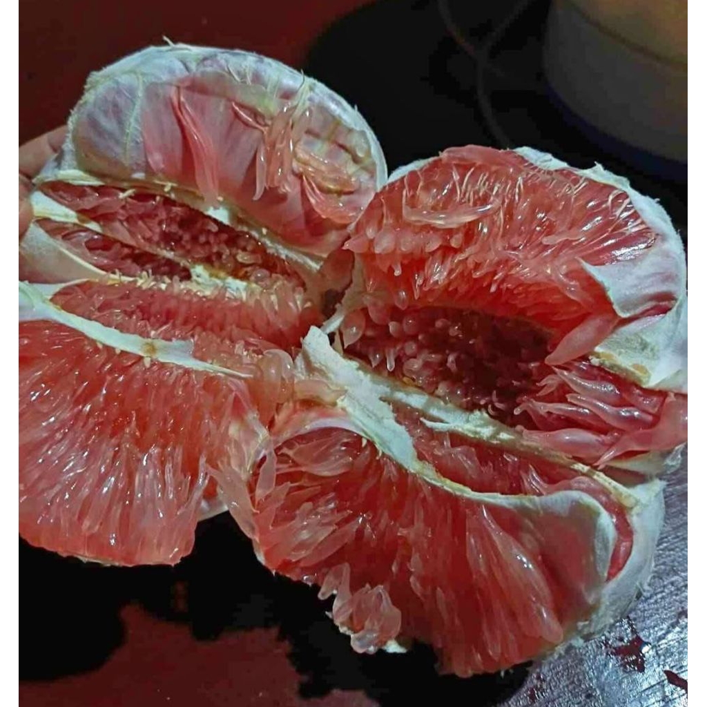 

BUAH JERUK BALI MADU KUPAS 400GRAM / PACK