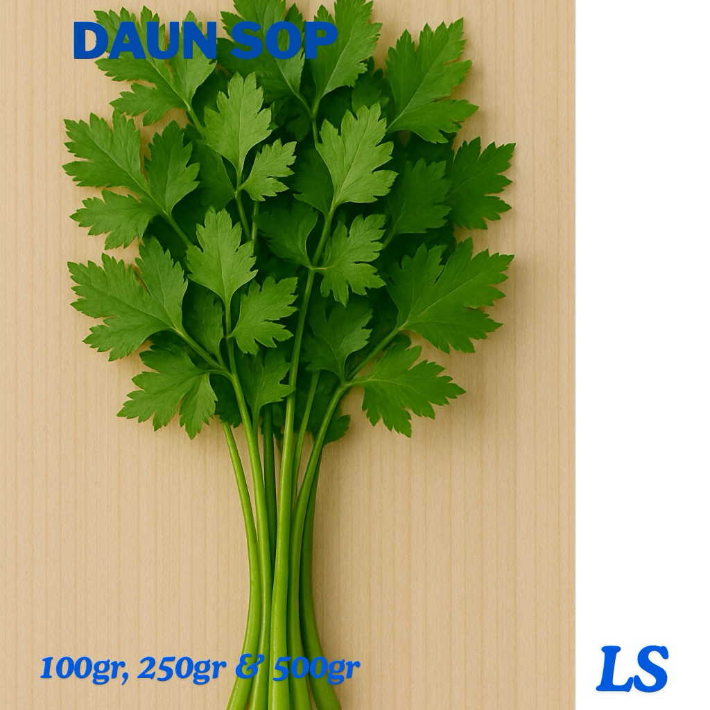 

Daun Sop