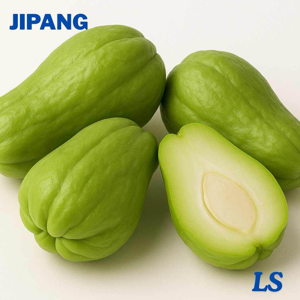 

Jipang Labu Siam ukuran besar