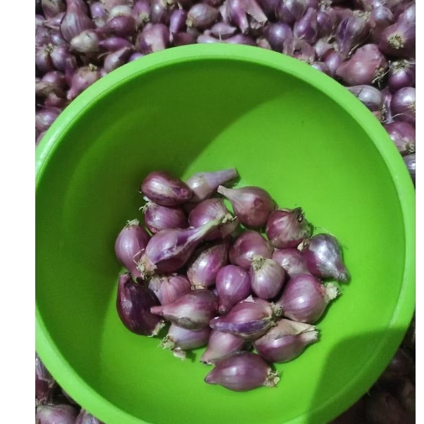 

Bawang Merah Lokal Size Kecil ulekan /Lembutan kemasan 1000gr