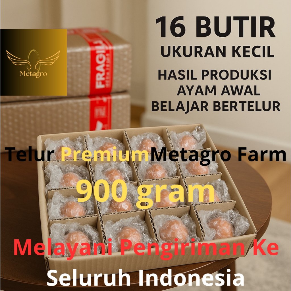 

Telur Ayam Metagro Farm 900 gram Isi 16 Butir – Telur Ayam Negeri Premium