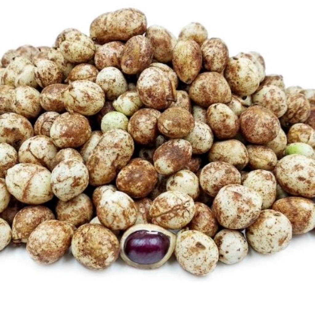 

kacang bogor mentah 1 kg berkualitas