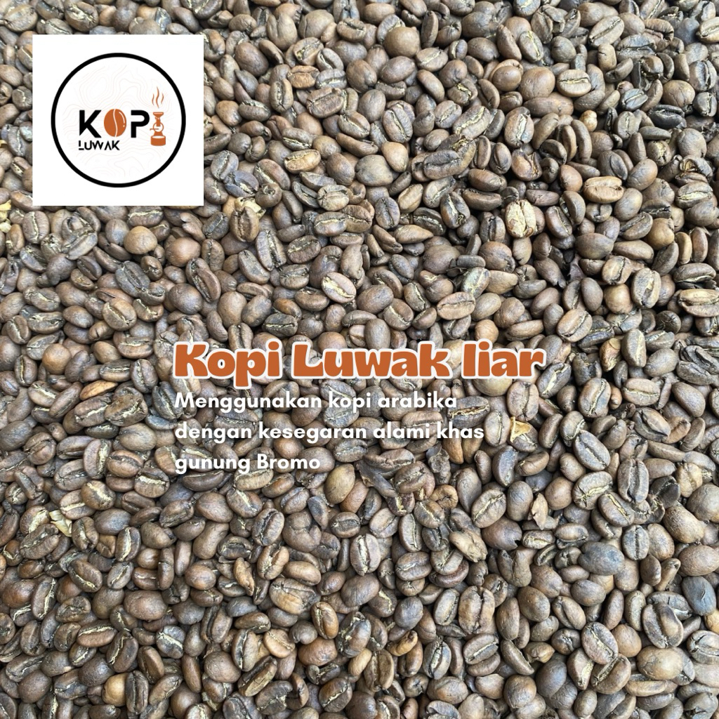 

Kopi Luwak Liar Arabika Premium Asli – Whole Bean / Bubuk – 100% Murni