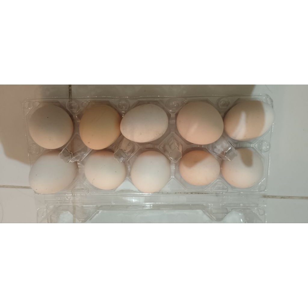 

Telor ayam kampung omega 10 biji
