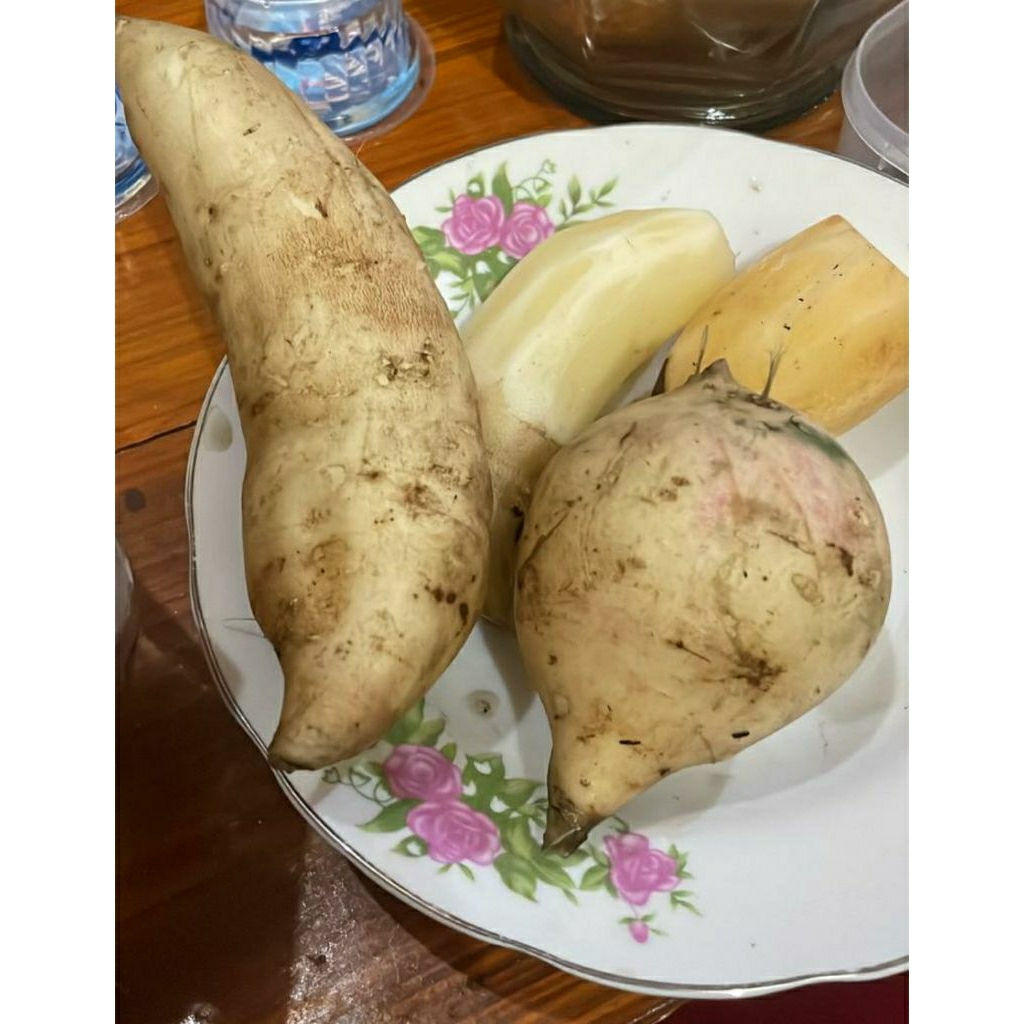 

Umbi Yakon Asal Wonosobo 500Gr