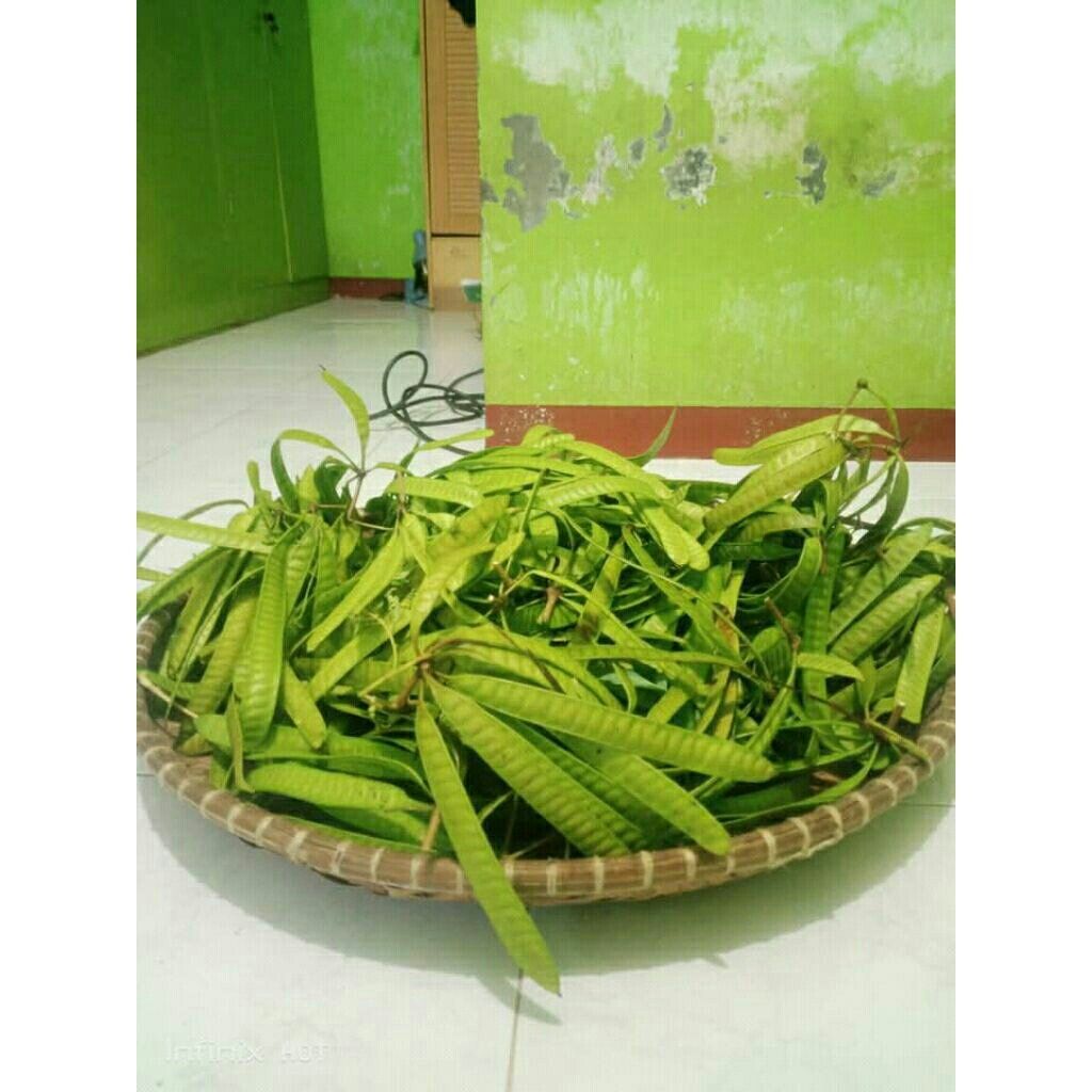 

Pete Cina 1 Kilo Harga Rp.15 ribu