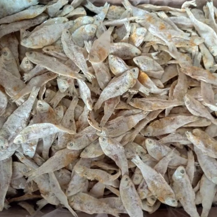 

IKAN KLAPAN/SRINDING ASIN KERING 1/2 & 1 KG (500 - 1000 GRAM)