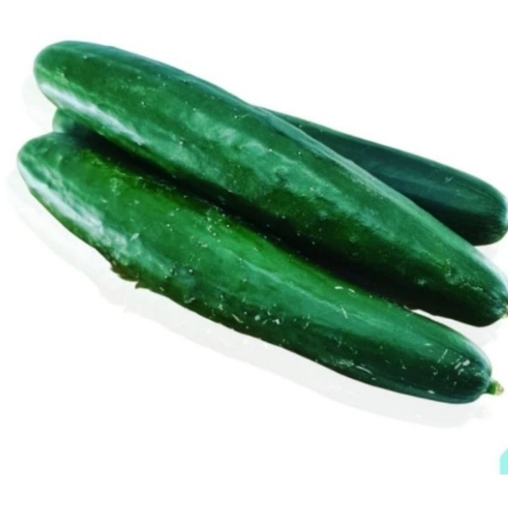 

Timun Jepang segar 500gr