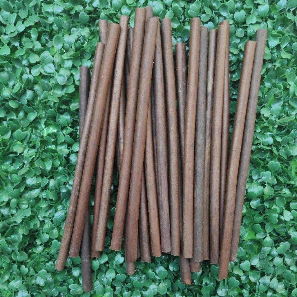 

pulpen Handam /pulpen kaligrafi celup/ resam/ pakis handam kaligrafi 20 cm