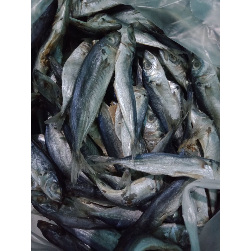 

ikan asin klotok asin rencek/ ikan layang kecil