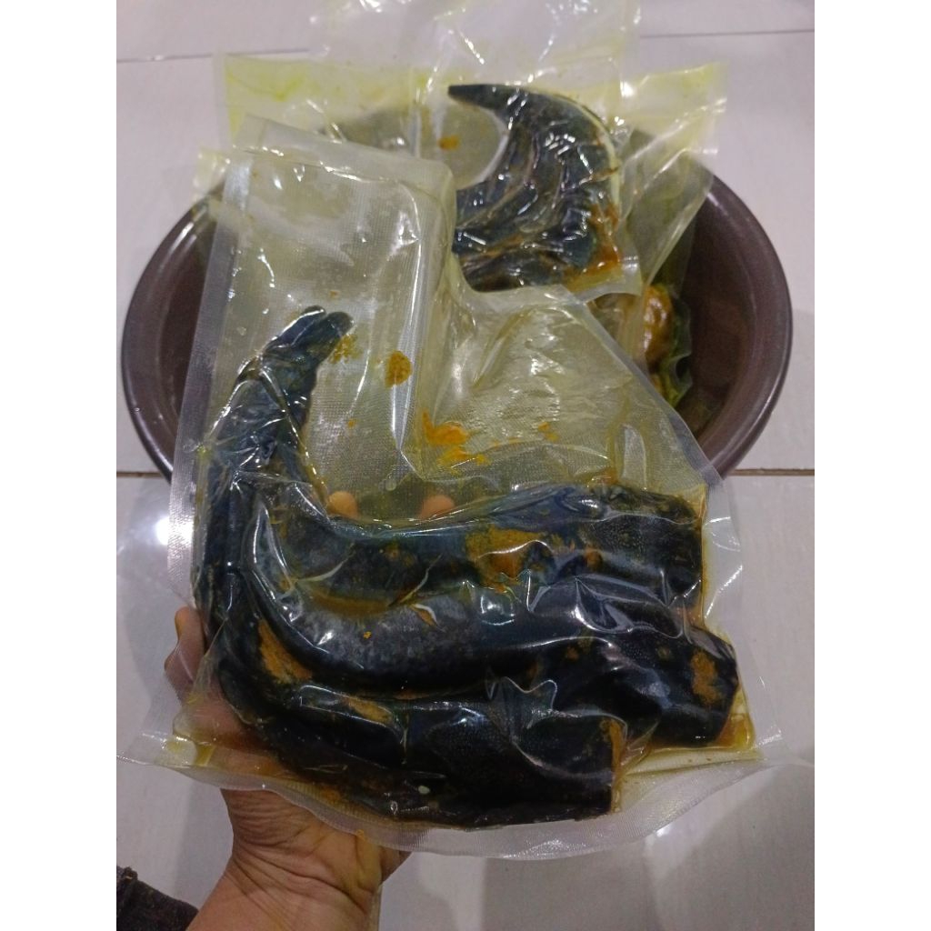

ikan lele marinasi bumbu kuning 700gr
