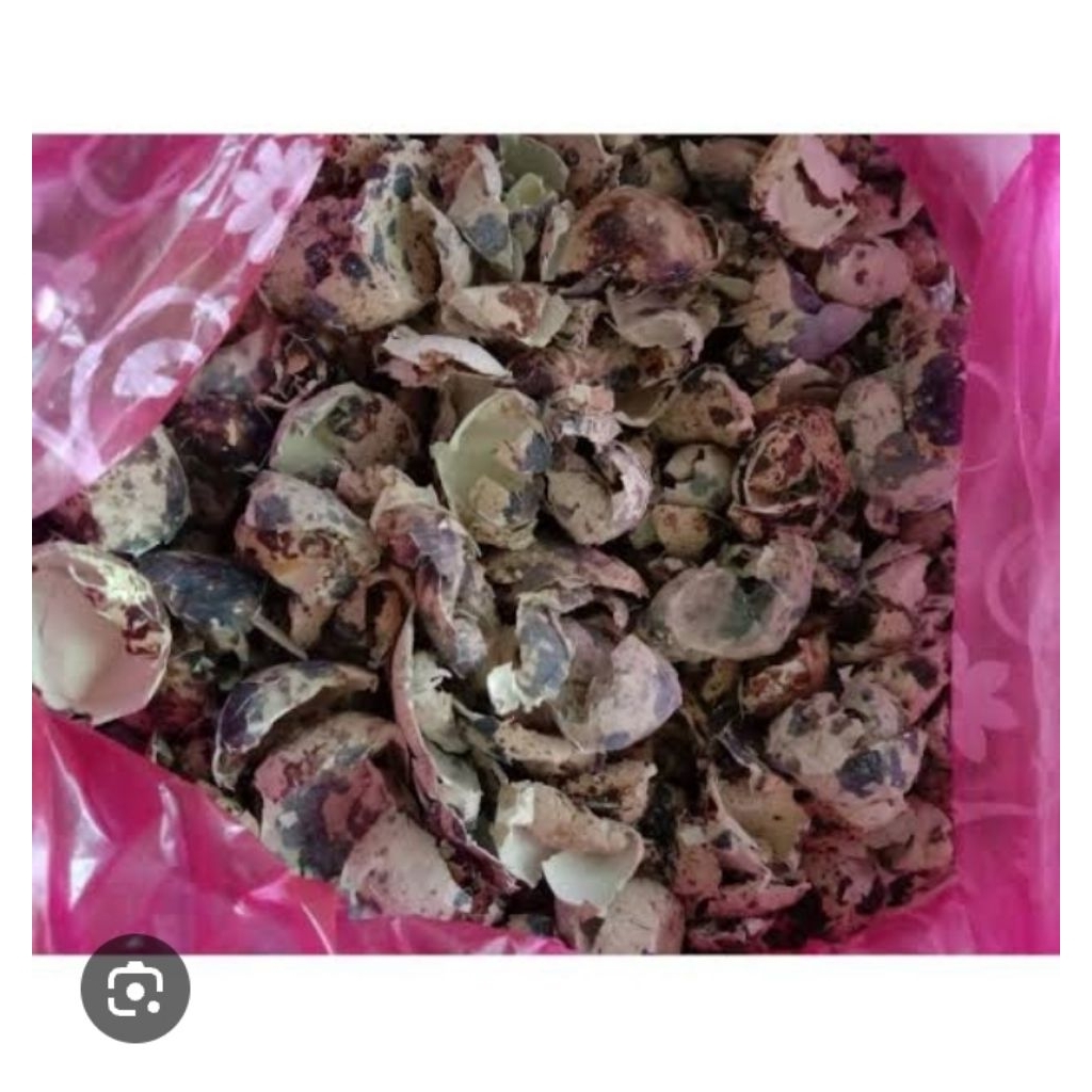 

kulit telur puyuh kering