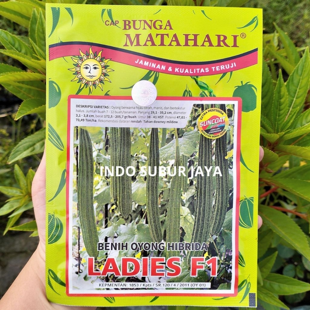 Ladies F1 Isi 10 Gram Benih Kesel/Oyong Hijau Cap Bunga Matahari
