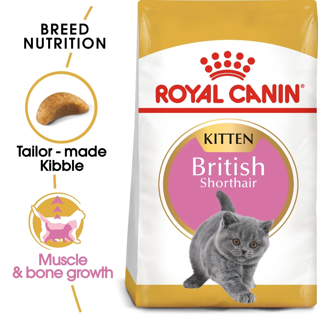 Royal Canin British Shorthair Kitten 400gr RC Kitten British Short Hair Dry Makanan Anak Kucing BSH