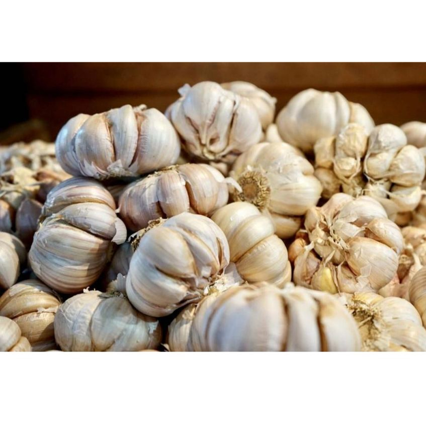 

Bawang Putih Murah 5 kg / Pengiriman Kilat Surabaya