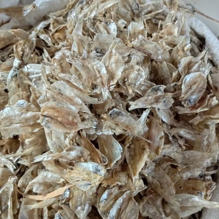 

IKAN KALAPAN TIPIS TAWAR/FILET KLAPAN/FILET SRINDING 100 GRAM (1 ONS)