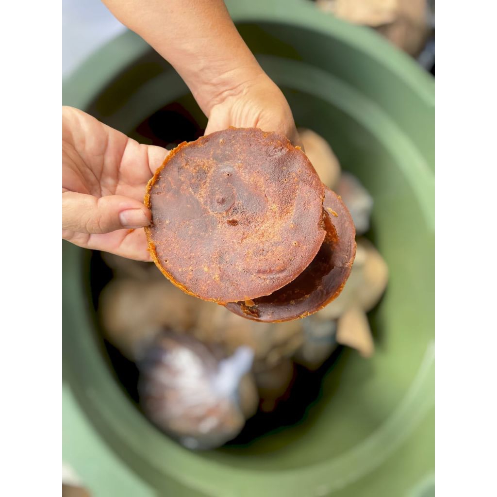 

GULA MERAH AREN|GULA MERAH SUPER|GULA MERAH ATINGGOLA|GULA MURAH|GULA MANIS