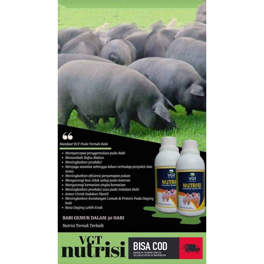 VGT.NUTRISI.UNTUK.TERNAK.BABI.DAN.SAPI