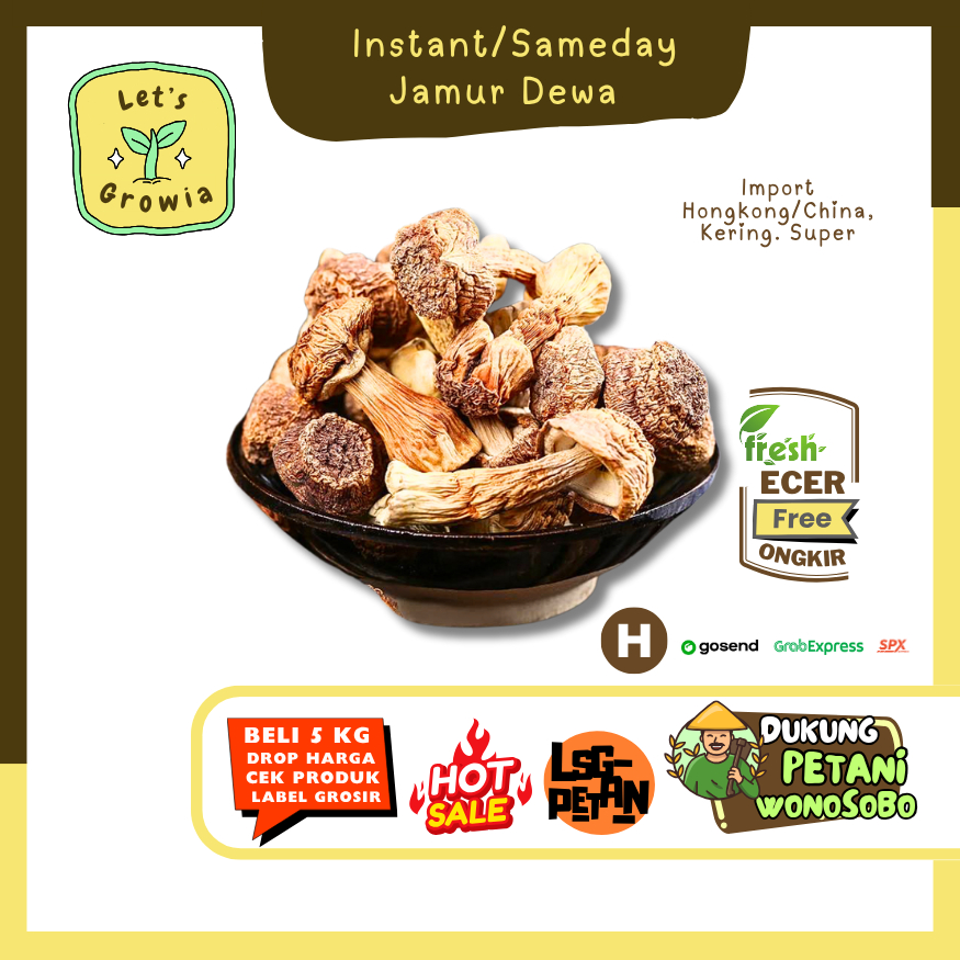 

Growia || Jamur Dewa -- Hasil Petani Langsung Ecer Sayur Gunung (H)