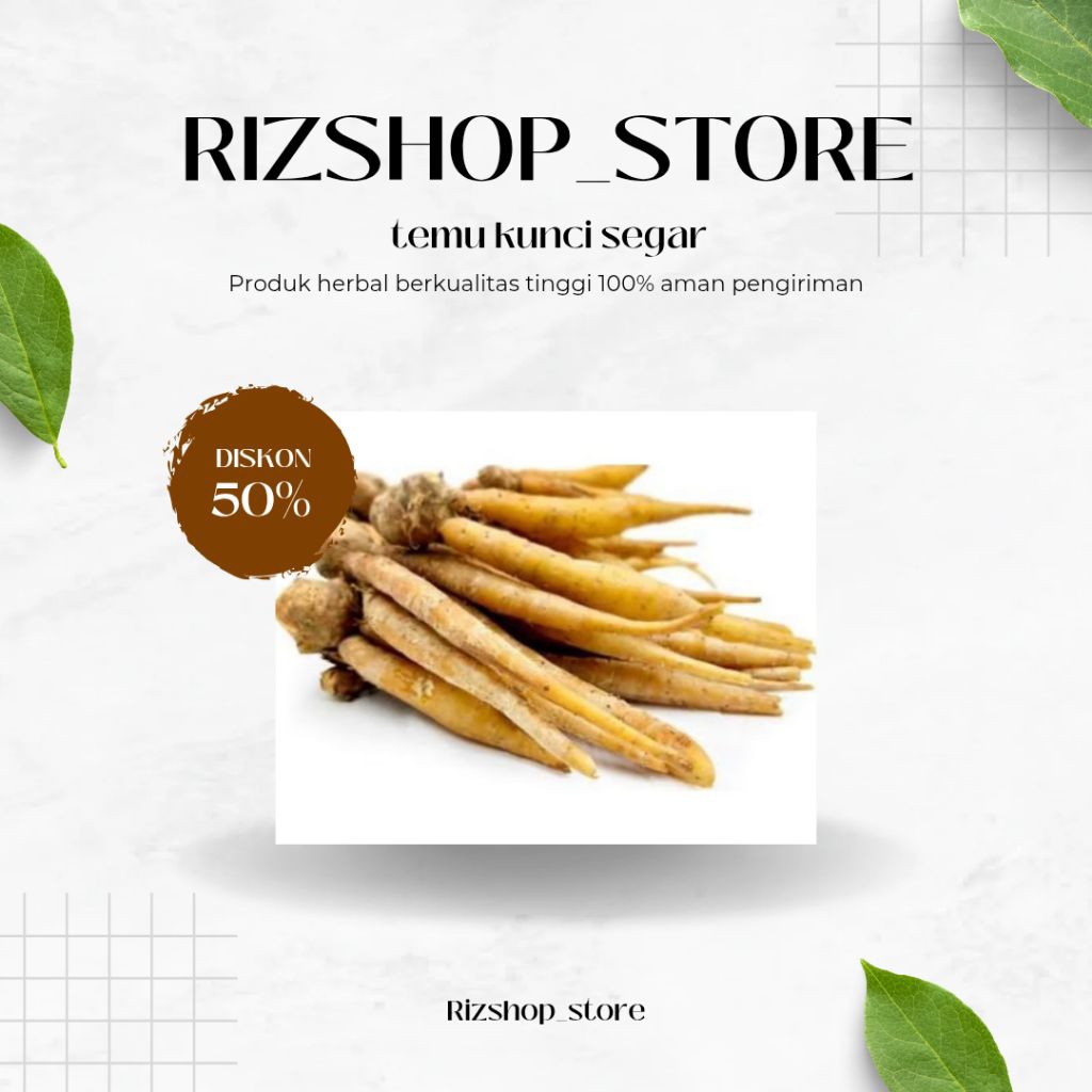 

Temu kunci segar fresh 1 kg