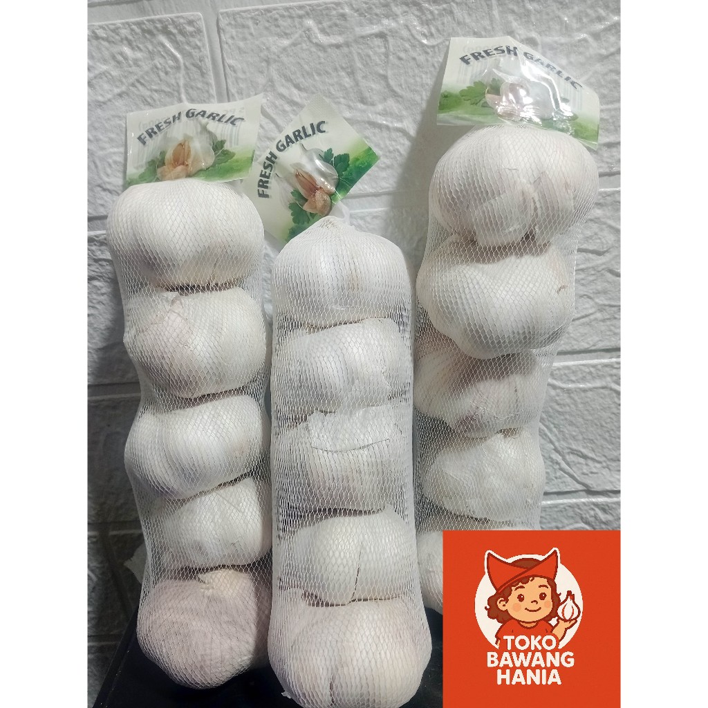 

Bawang Putih Banci Honan Fresh Garlic 1 KG | Putih Bersih | Bawang Hania