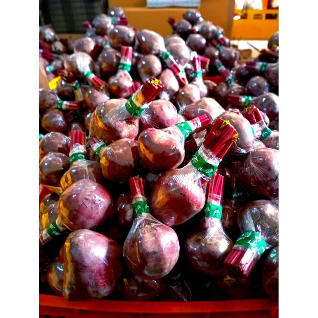 

buah bit / beetroot fresh market 5kg pilihan