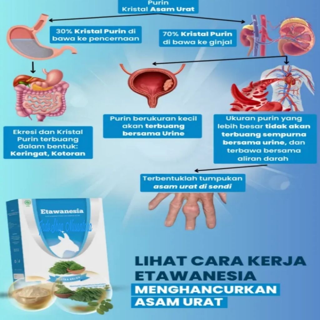

Susu Etawanesia Etawa Biru | Susu Kambing Etawa 5 X Lebih Efektif Dari Yang Sejenis + Ekstrak Mori
