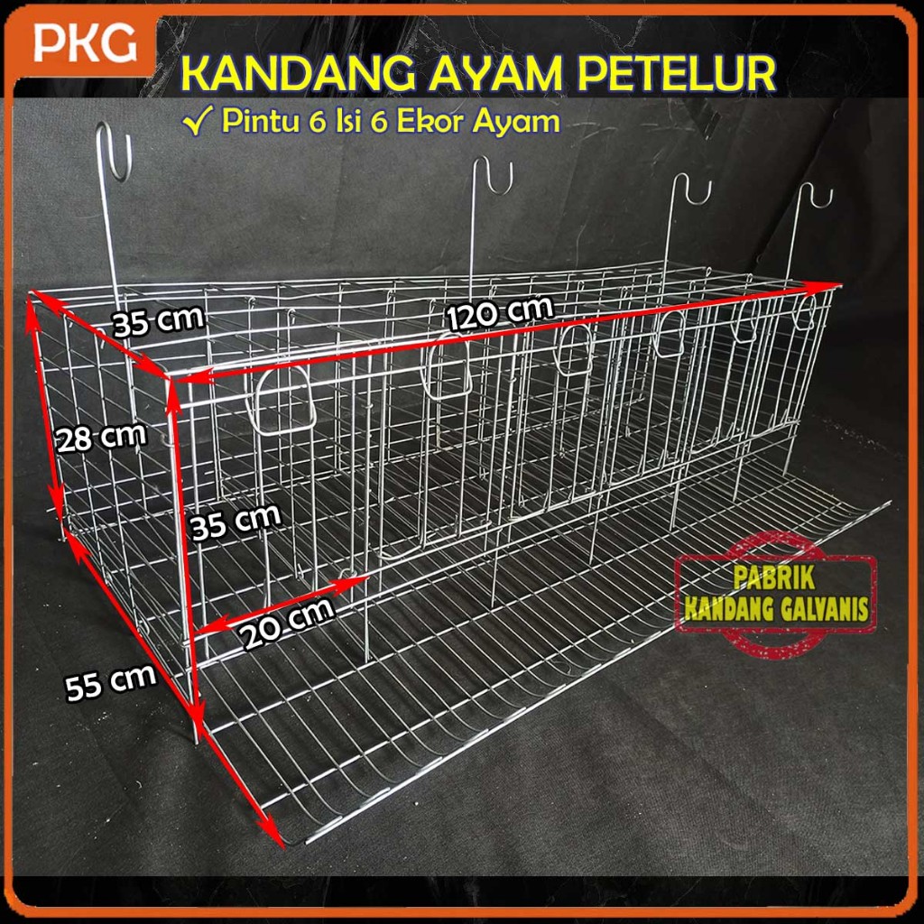 Kandang Ayam Petelur Galvanis Pintu 6 Isi 6 Murah Portable Skala Rumahan Minimalis Dari Besi