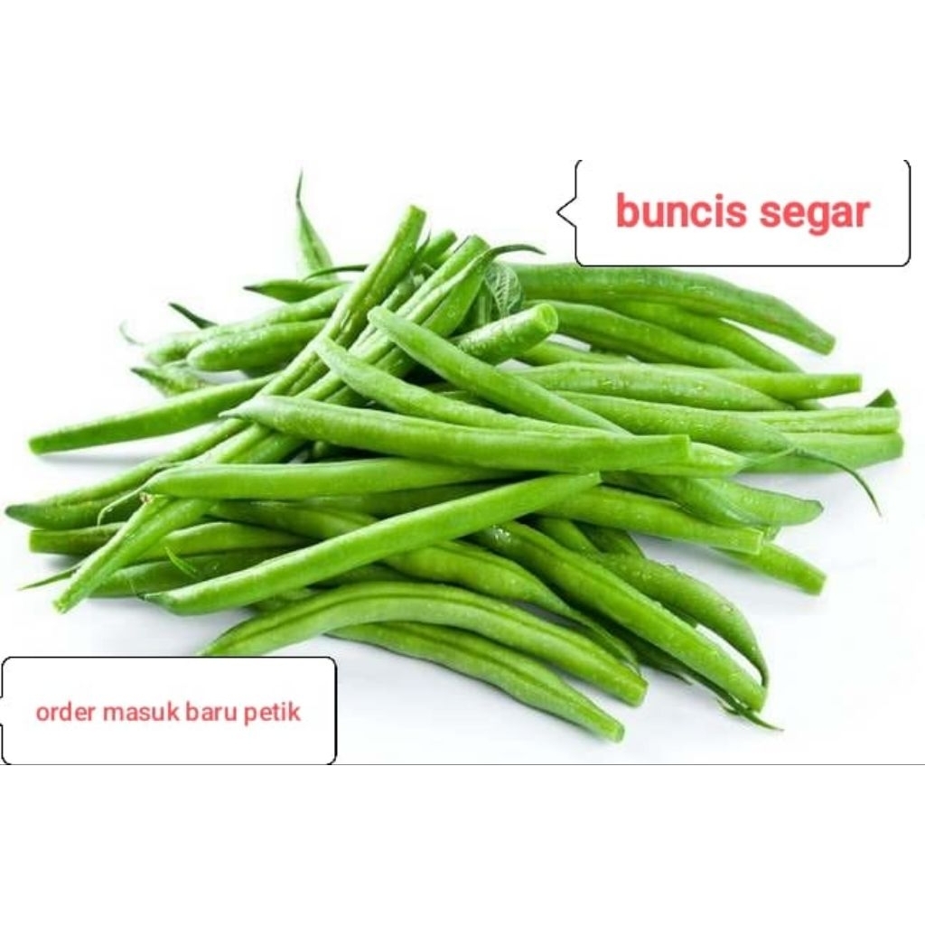 

buncis segar 1 kg