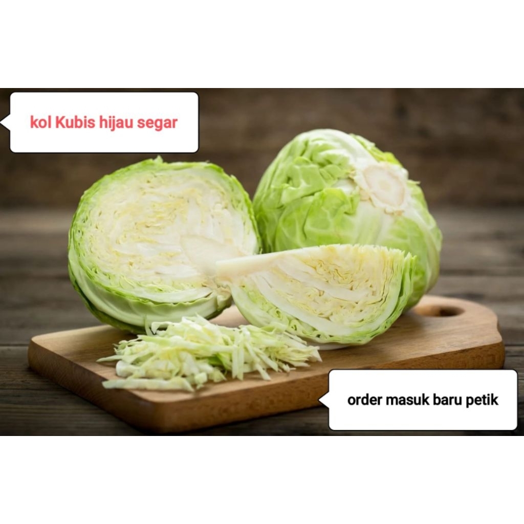 

kol kubis segar berat 1 kg