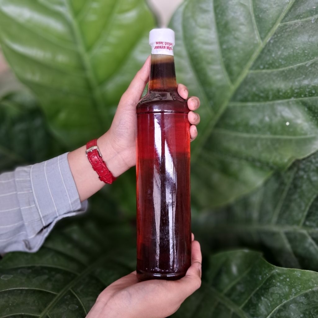 

Madu Hutan Asli 650ml