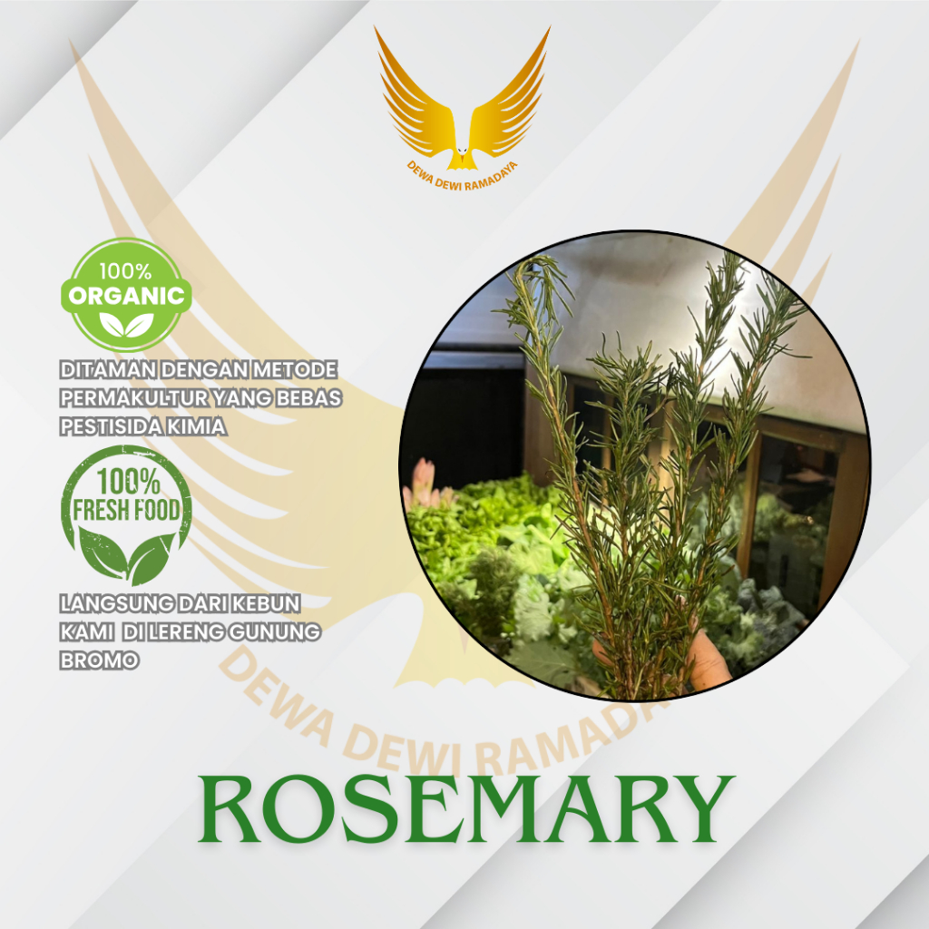 

Rosemarry Organik Dewa Dewi Rama Daya