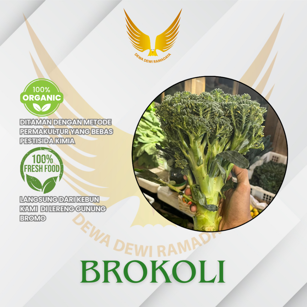 

Brokoli Organik Dewa Dewi Rama Daya