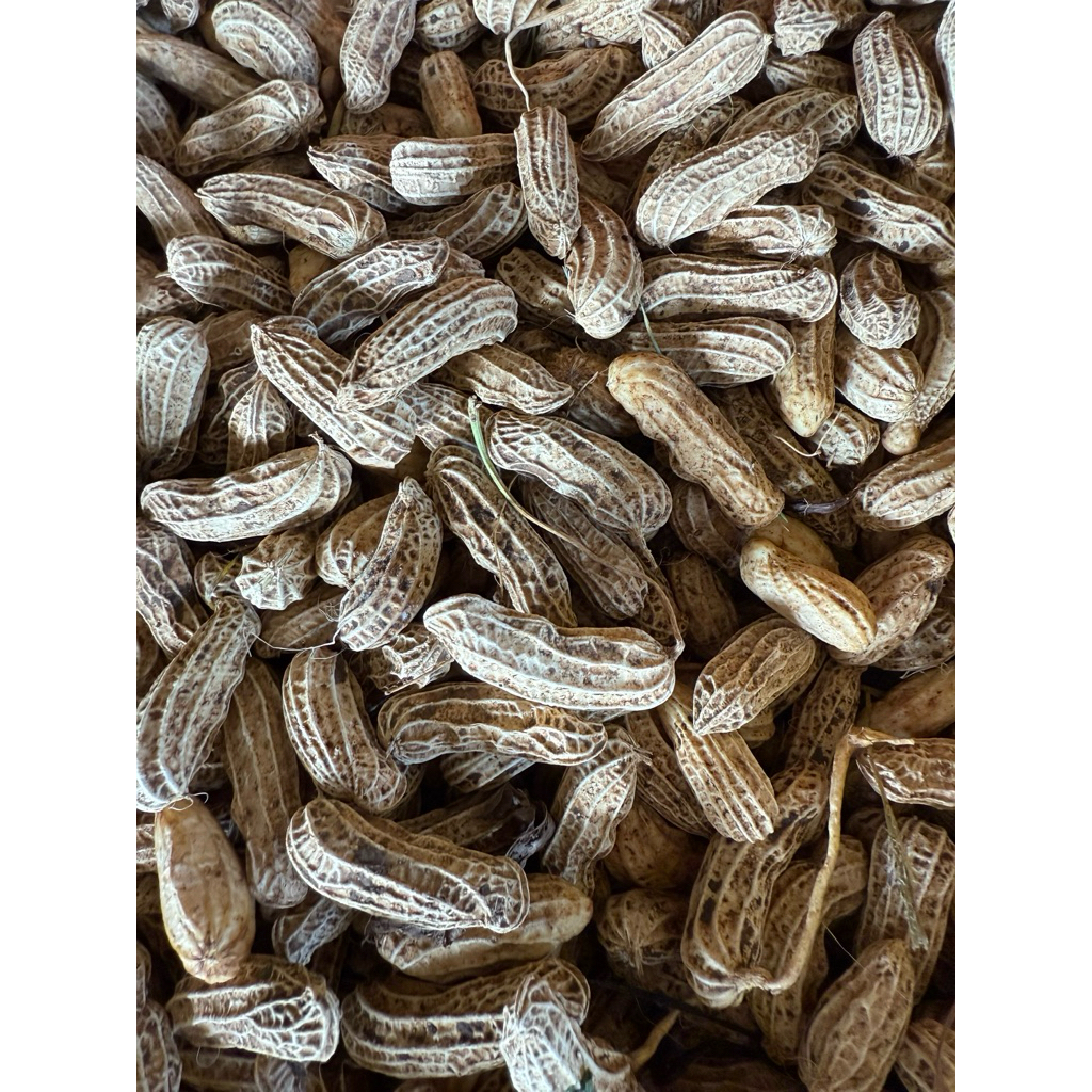 

Kacang tanah kuLit 500gram