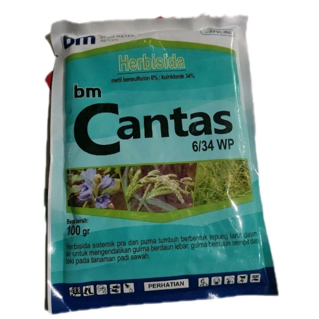 BM cantas 100gram herbisida pra dan purna tumbuh padi