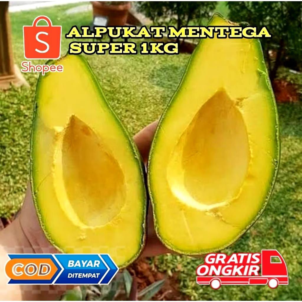 

Alpukat mentega super mewah 1kg isi 3/5 buah (kami kirim dengan keadaan mentah)