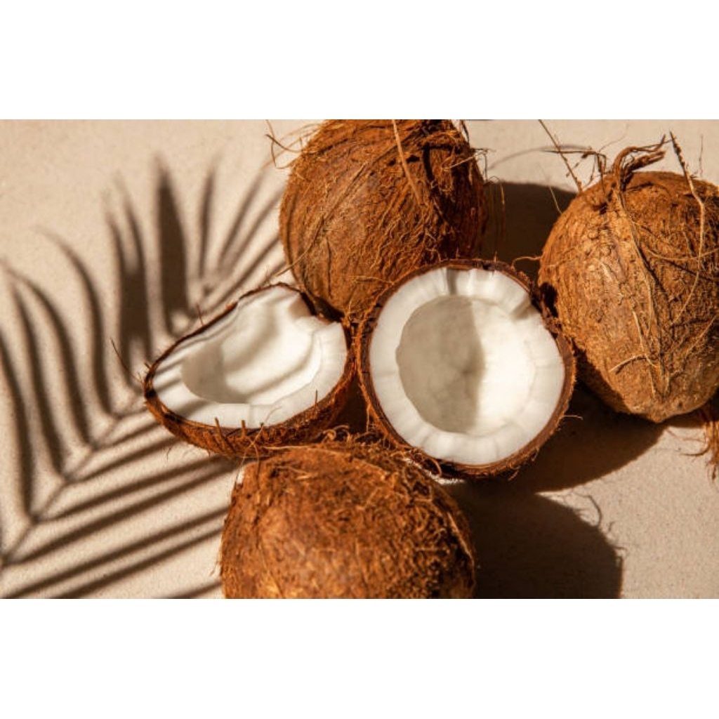 

Kelapa Tua Bulat Utuh Termurah/Daging Tebal Bahan Santan