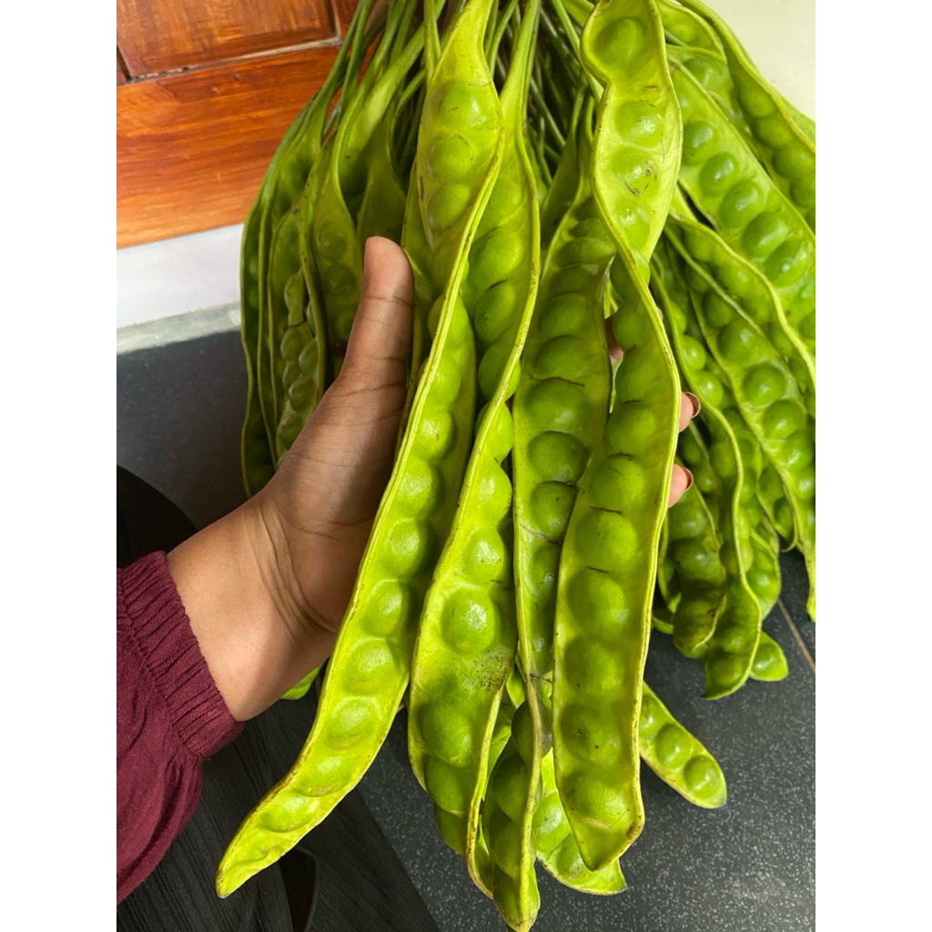 

Petei sedang isi 5 papan /lonjor (11,12,13 mata/ papan)