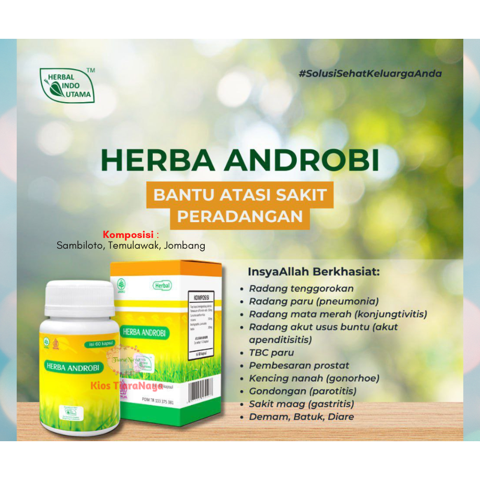KAPSUL HIU ANDROBI - HERBAL ANTIBIOTIK ALAMI