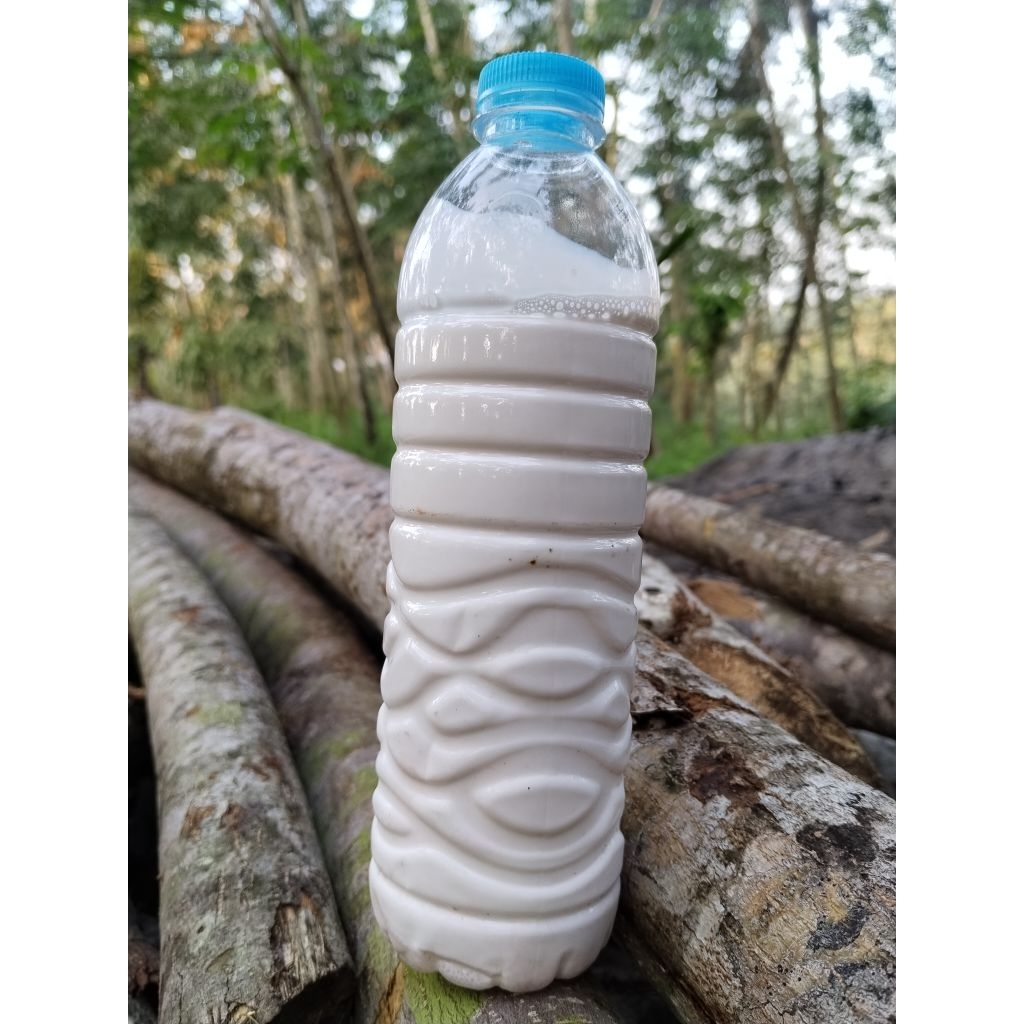 Lem Getah Karet/Latex Cair isi 600mil/lem pulut burung/perekat