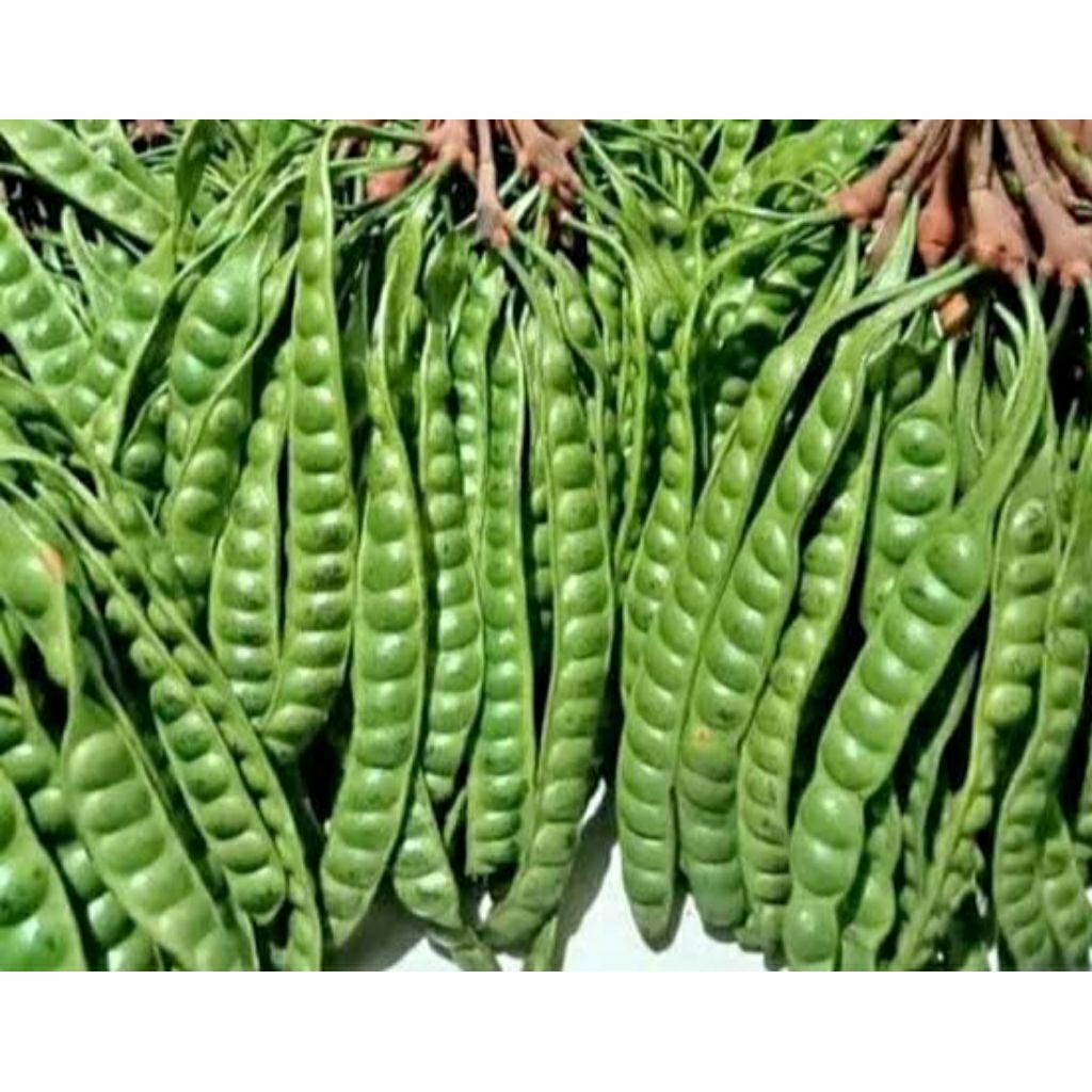 

Pete super segar per papan