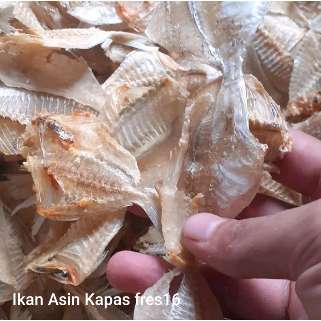 

Ikan Asin kapas/kerupuk fres16