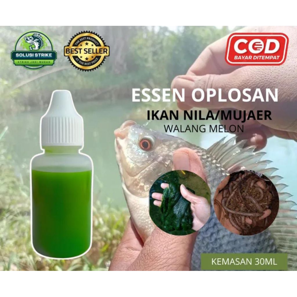 Essen oplosan khusus ikan nila aroma walang melon umpan cacing lumut alam liar