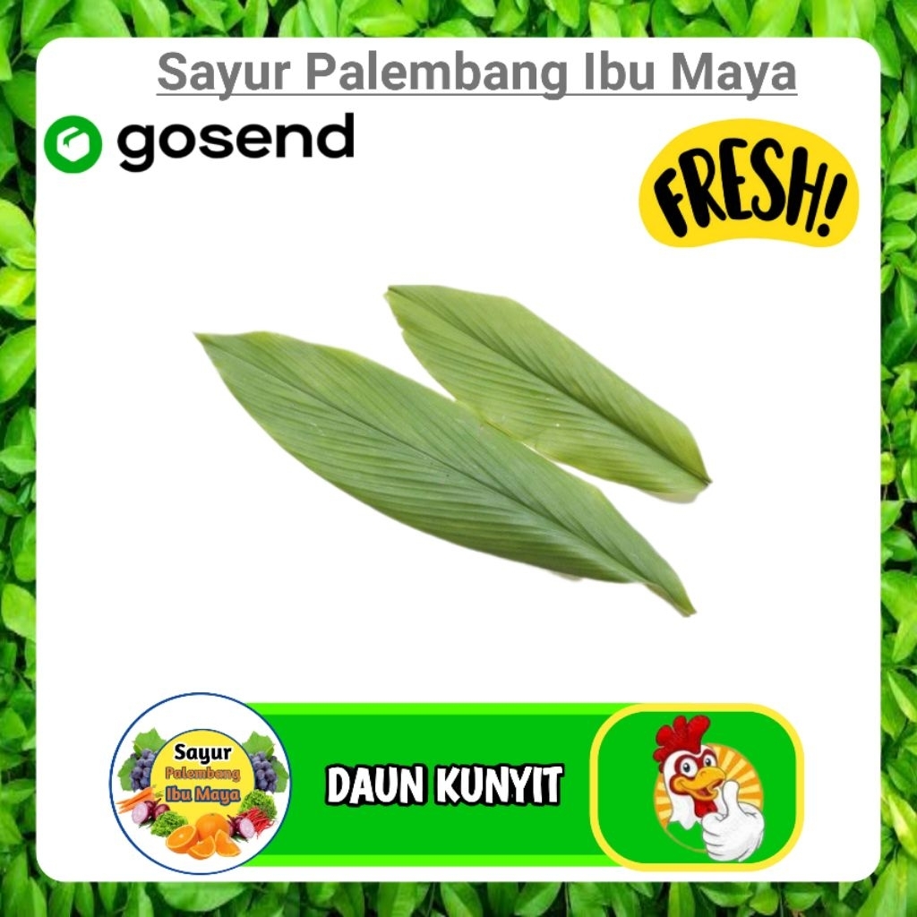 

Daun Kunyit Segar Per ikat - Palembang
