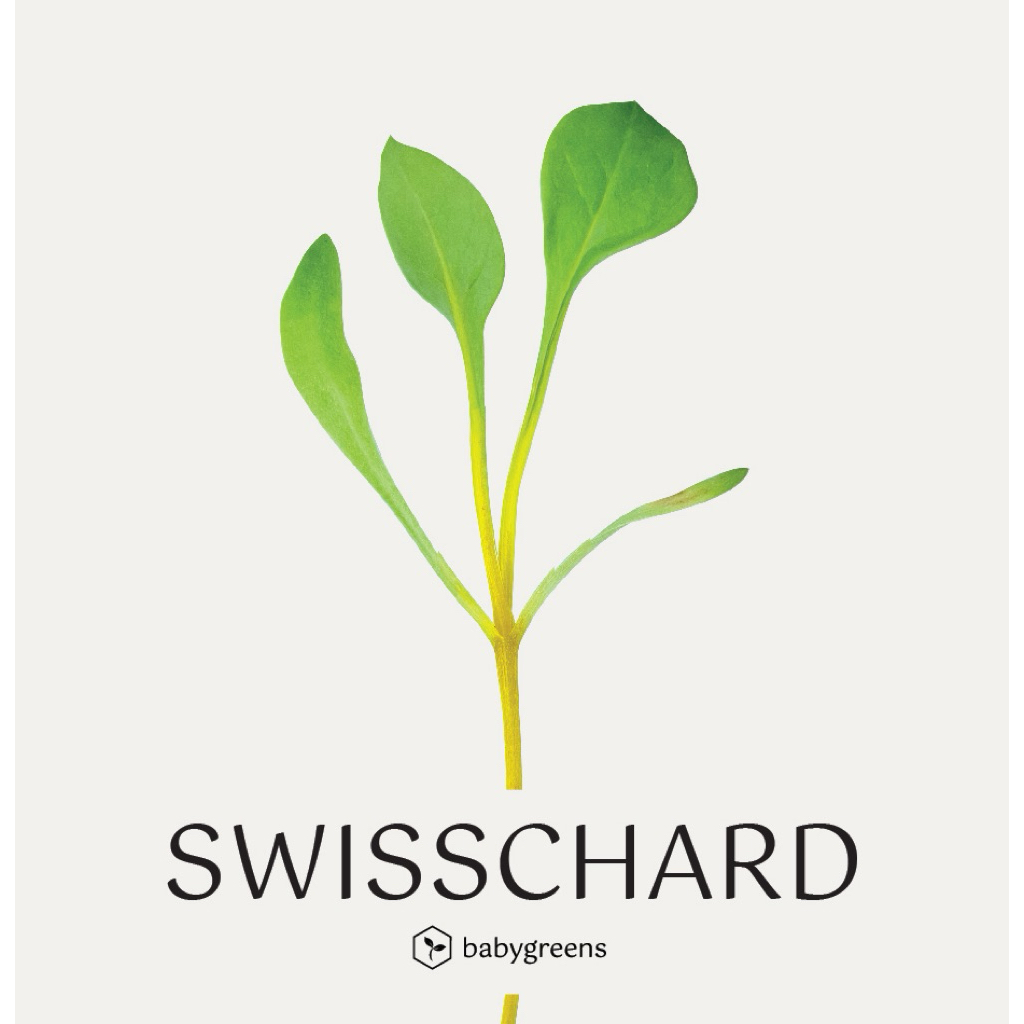 

[BABYGREENS] Swisschard Microgreens - 30 gr