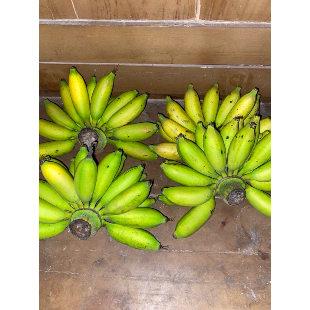 

Pisang manis terpercaya 100%Berkuwalitas