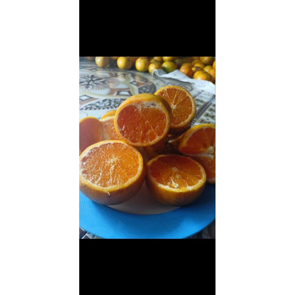 

jeruk girga manis juicy bulir besar2