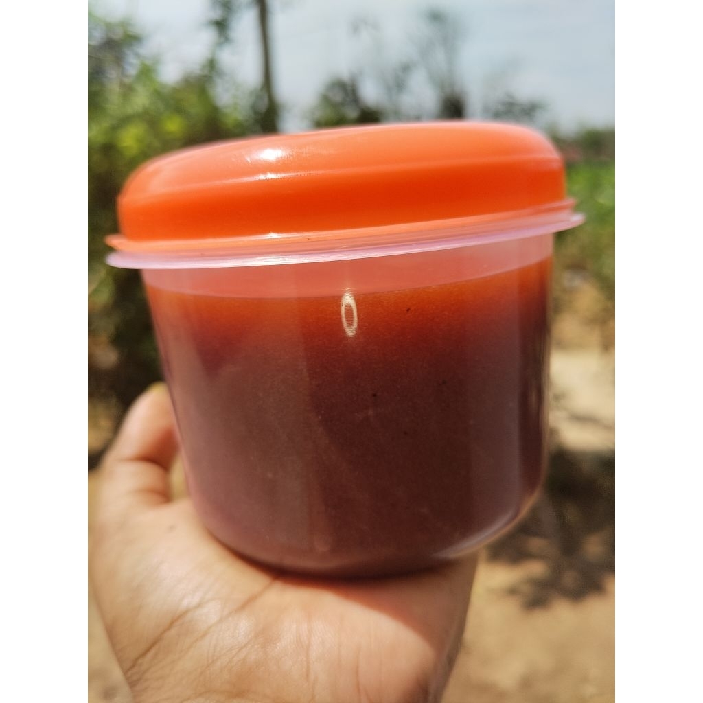 

PETIS IKAN TUNA KHAS MADURA RASA NAMPOL KEMASAN 1KG TOPLES part 1